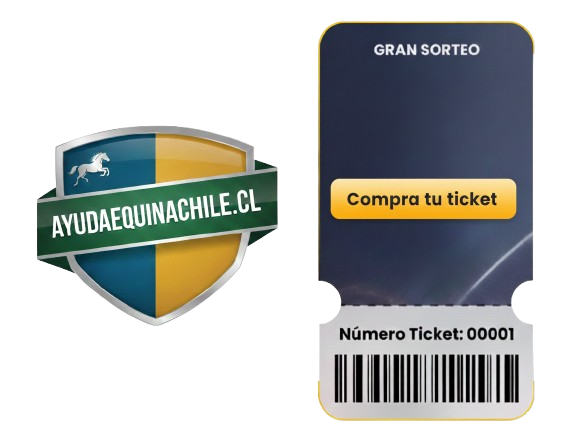 https://sorteo.cdcsuministros.cl/wp-content/uploads/2025/12/sorteo-ayuda.png